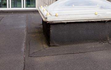 disadvantages of Ratho Station flat roofs