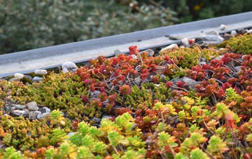 the cost of Ratho Station green roof installation