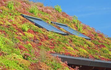Ratho Station living roof systems