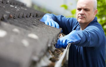 cleaning and inspecting Ratho Station roofs